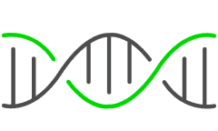 Differentiated instruction