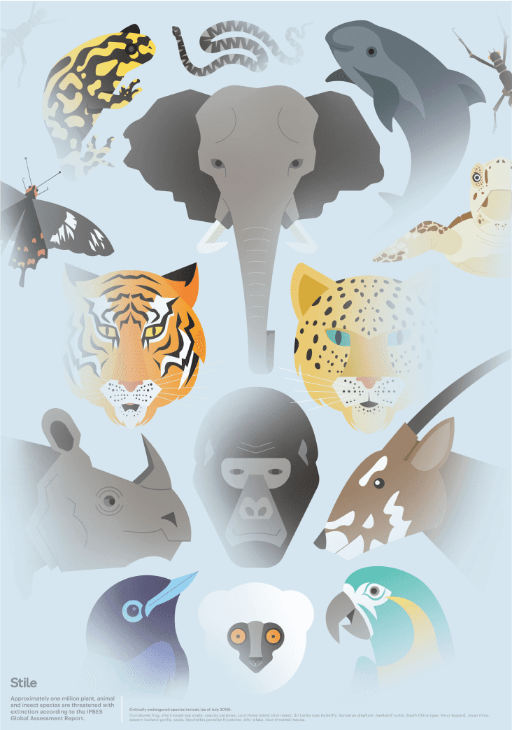 An illustration featuring several endangered animals, such as an elephant, a gorilla, a tiger and a shark