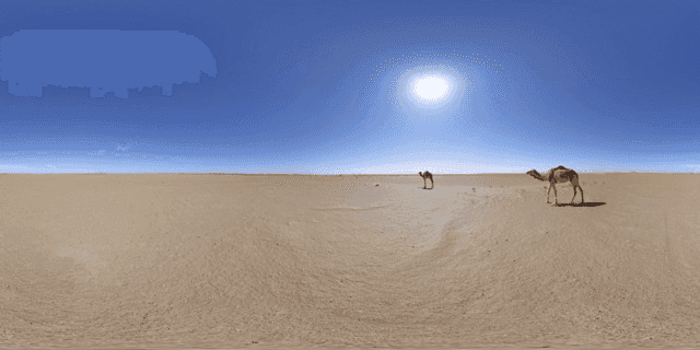 A very wide expanse of desert, with a camel visible