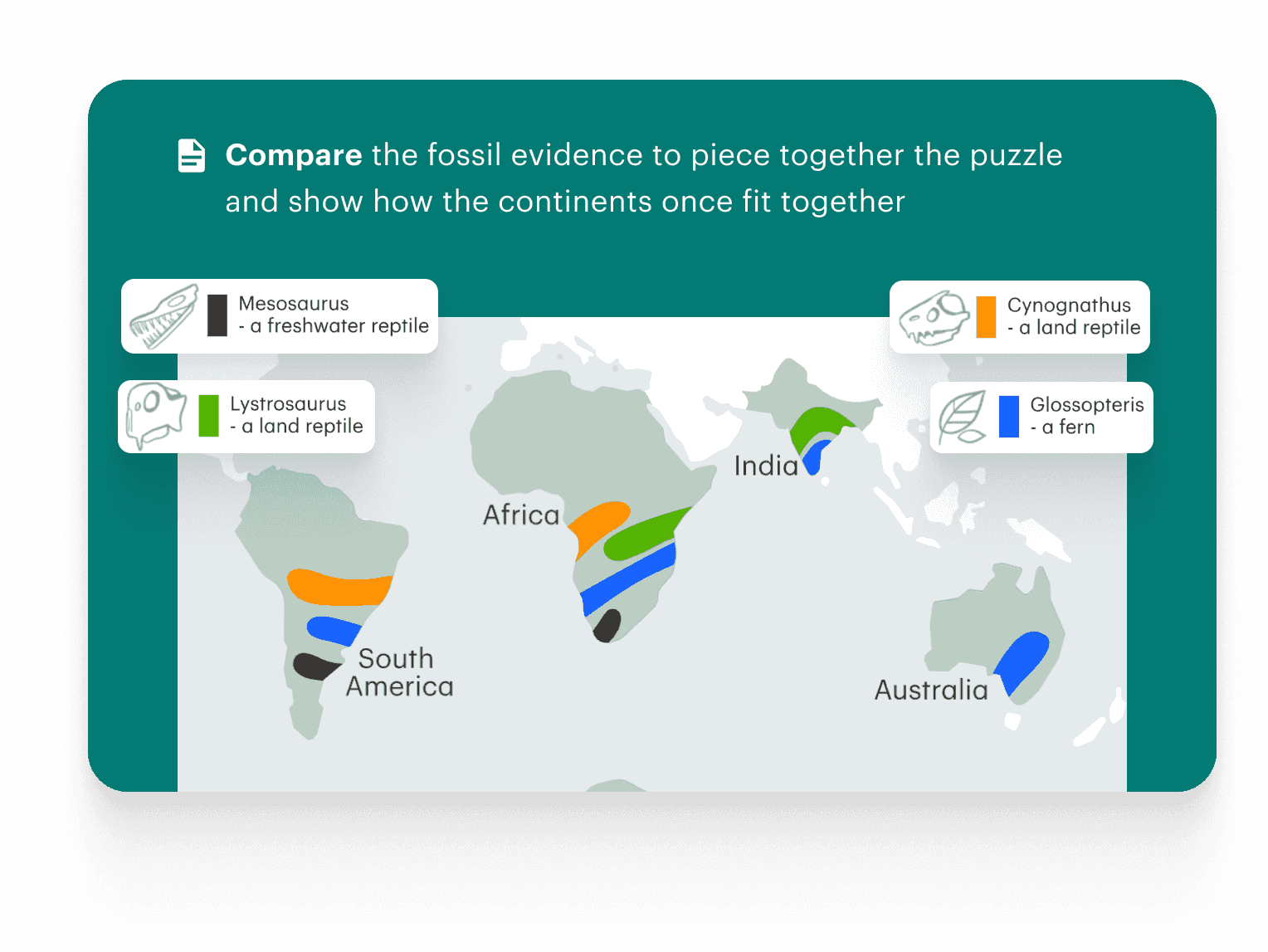 Text: Compare the fossil evidence to piece together the puzzle and show how the continents once fit together. Image: Map showing fossil distributions of several animals and plant across South America, Africa, India, and Australia.