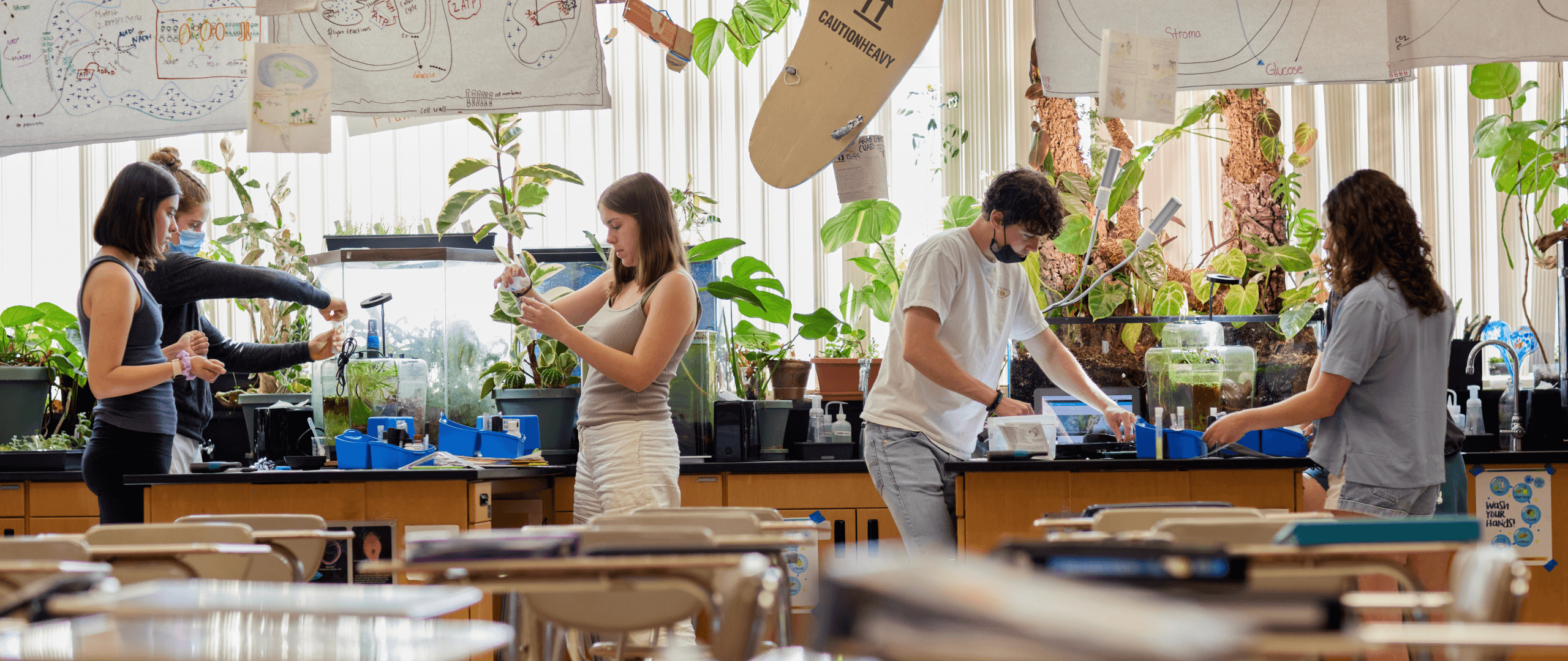 A group of students performing a lab experiement in a classroom filled with plants