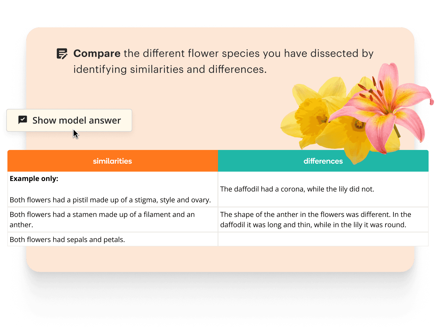 Text: Compare the different flower species you have dissected by identifying similarities and differences. Image: Example answer table showing similarities and differences between daffodils and lilies, with photos of both flowers.