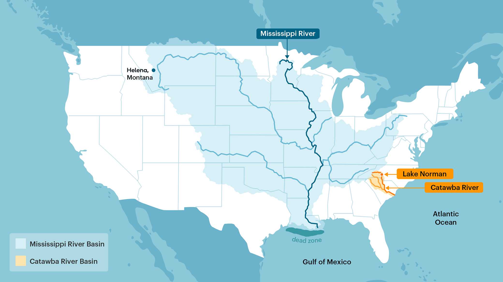 Map of green algal bloom near a river delta along the coast