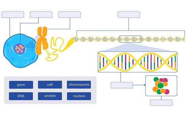 Example question from the Stile Science Test