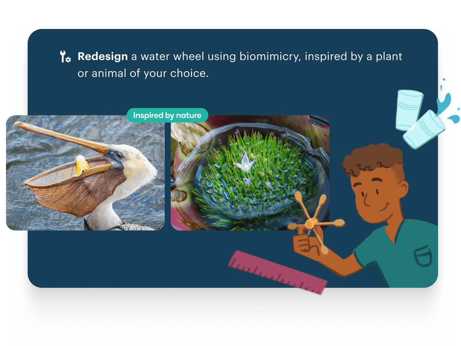 Text: Redesign a water wheel using biomimicry, inspired by a plant or animal of your choice. Image: Photos of a pelican and a water plant with flowing water, alongside an illustration of a student designing a model water wheel.