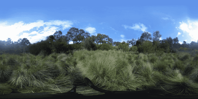 A grassland with long grass in clumps, very distorted like looking through a curved lense