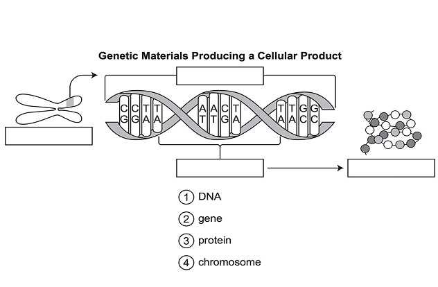 Example question from the Mississippi Science Test